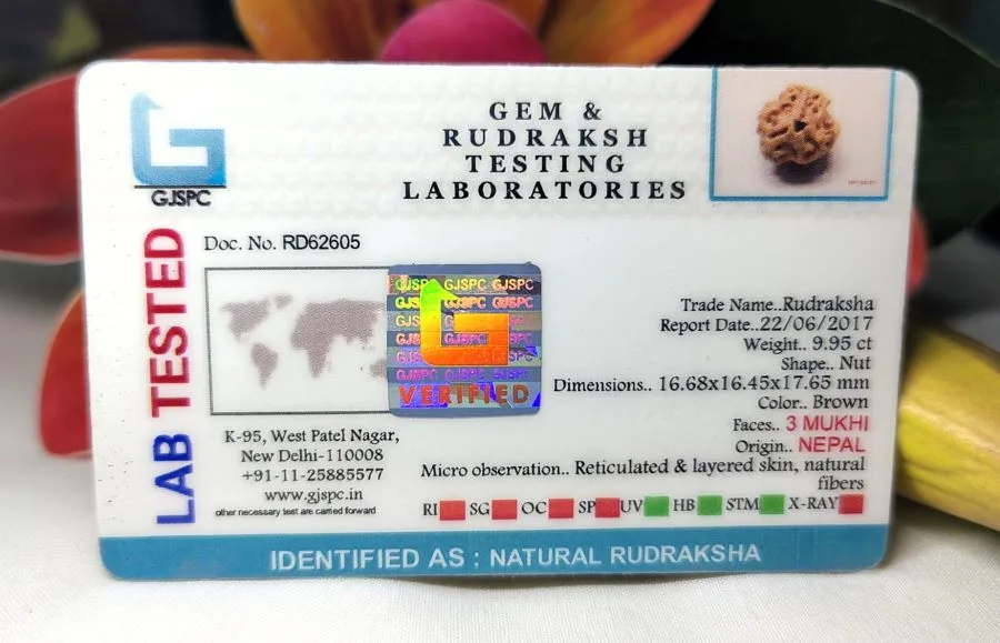 3 Mukhi Certificate