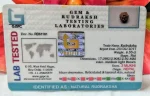 3 Mukhi Certificate