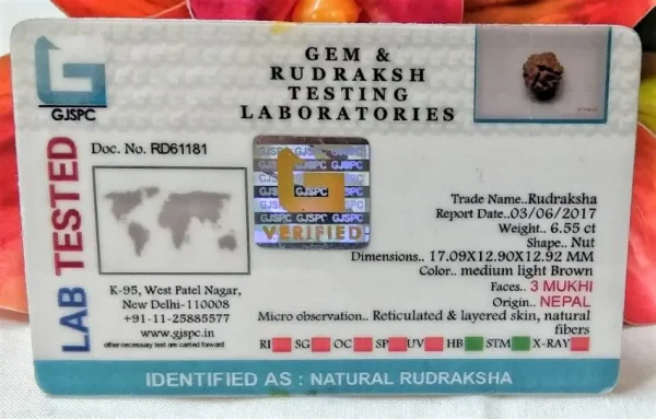 3 Mukhi Certificate
