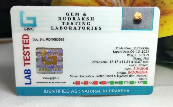 3 Mukhi Certificate