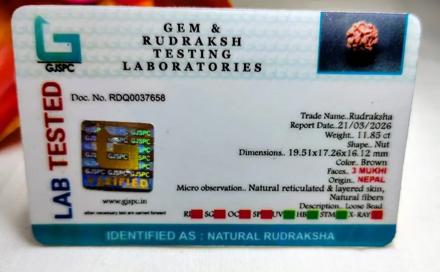 3 Mukhi Certificate