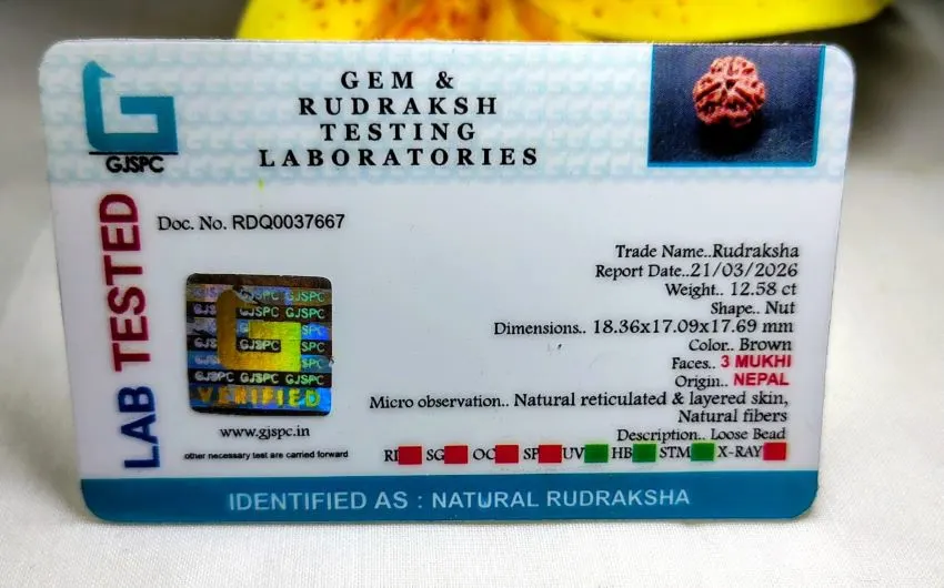 3 Mukhi Certificate