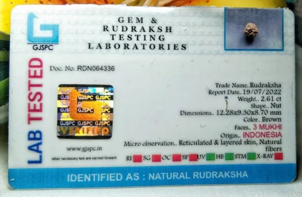 3 Mukhi Certificate