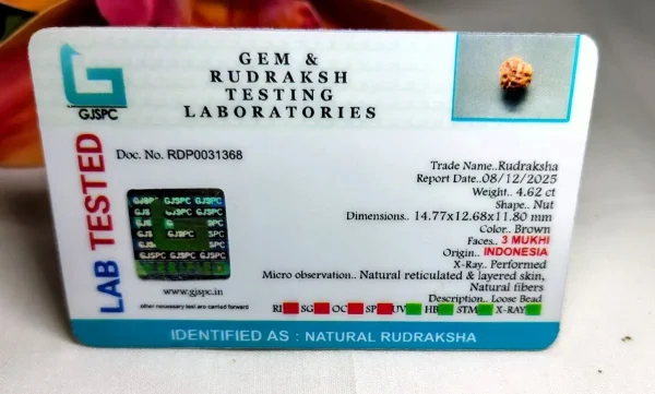 3 Mukhi Certificate