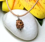 3 Mukhi Rudraksha