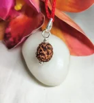 3 Mukhi Rudraksha