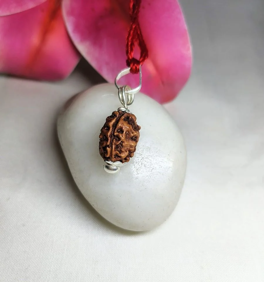 3 Mukhi Rudraksha