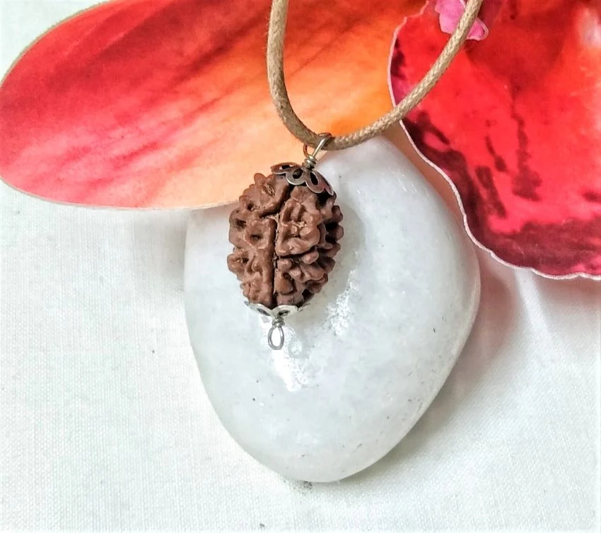 3 Mukhi Rudraksha