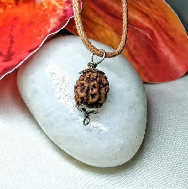 3 Mukhi Rudraksha