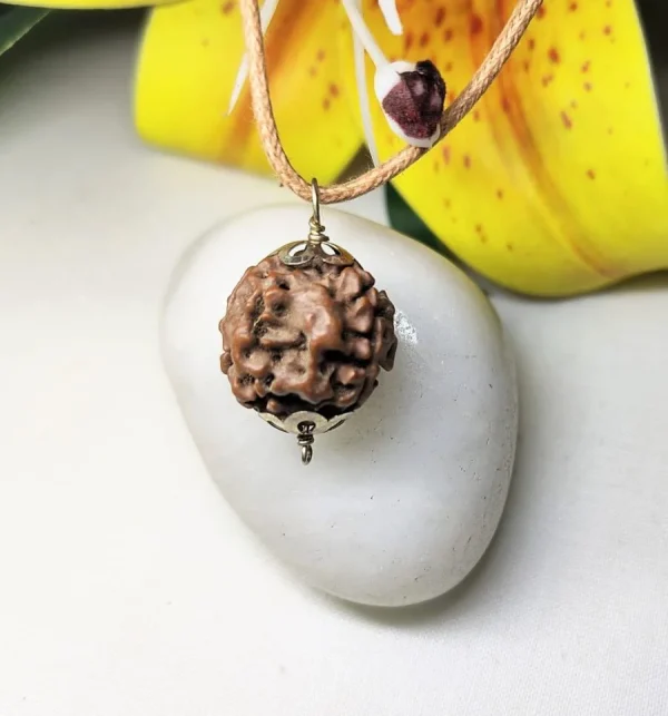 3 Mukhi Rudraksha