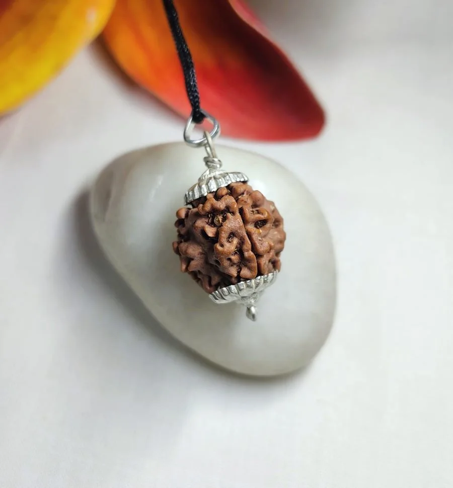 3 Mukhi Rudraksha