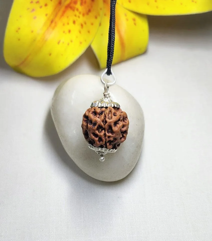 3 Mukhi Rudraksha
