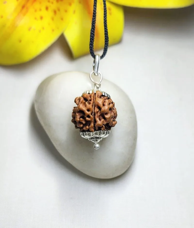 3 Mukhi Rudraksha