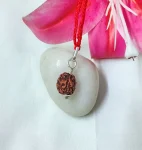 3 Mukhi Rudraksha
