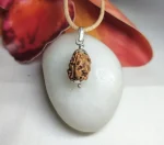 3 Mukhi Rudraksha