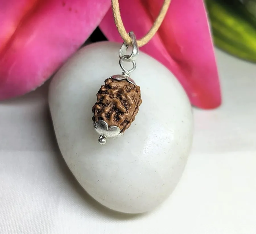 3 Mukhi Rudraksha