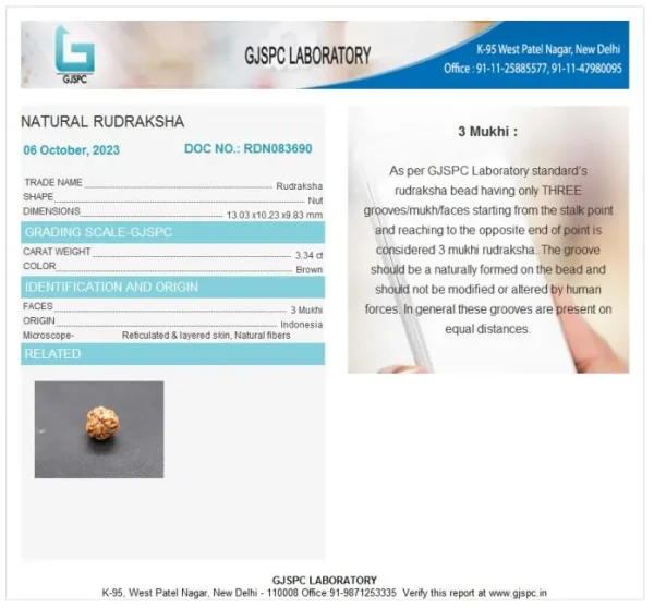 3 Mukhi Certificate