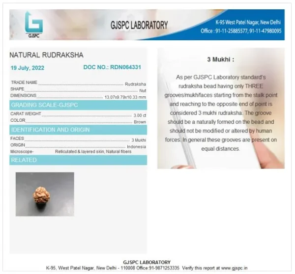 3 Mukhi Certificate