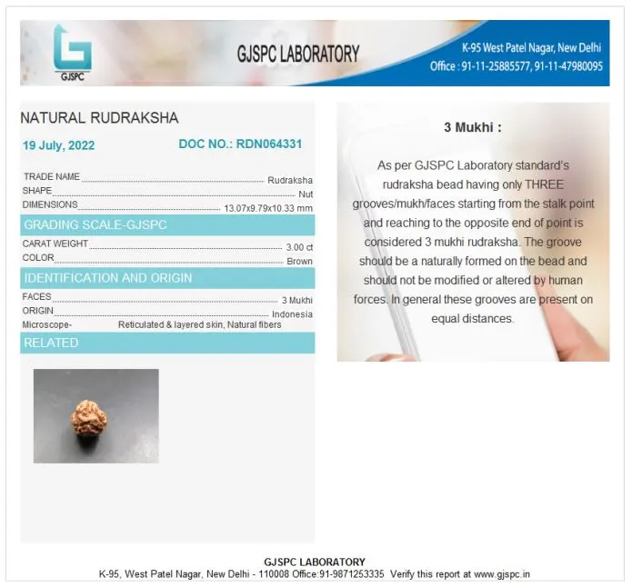 3 Mukhi Certificate