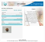 3 Mukhi Certificate