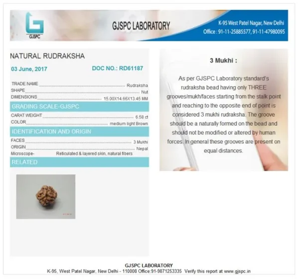 3 Mukhi Certificate