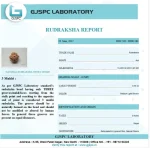 3 Mukhi Certificate