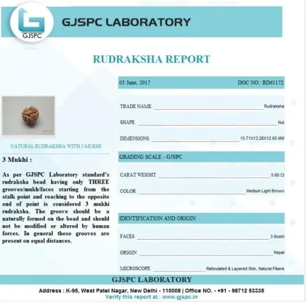 3 Mukhi Certificate