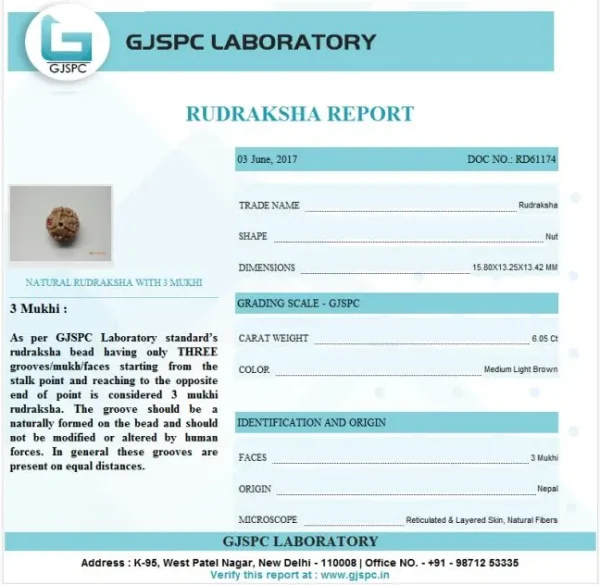 3 Mukhi Certificate