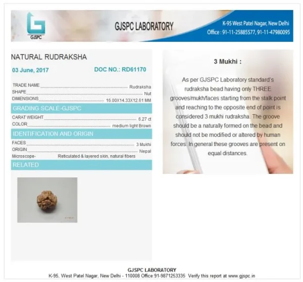 3 Mukhi Certificate