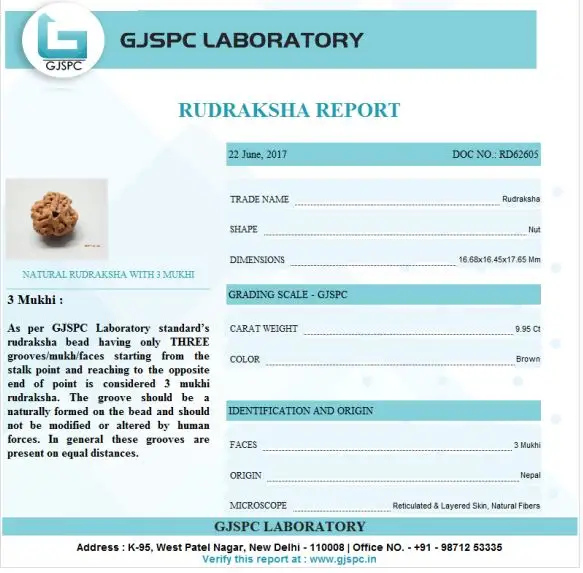 3 Mukhi Certificate