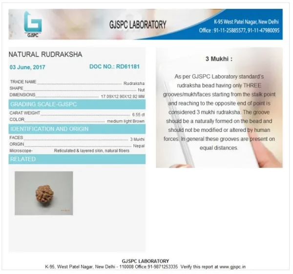 3 Mukhi Certificate