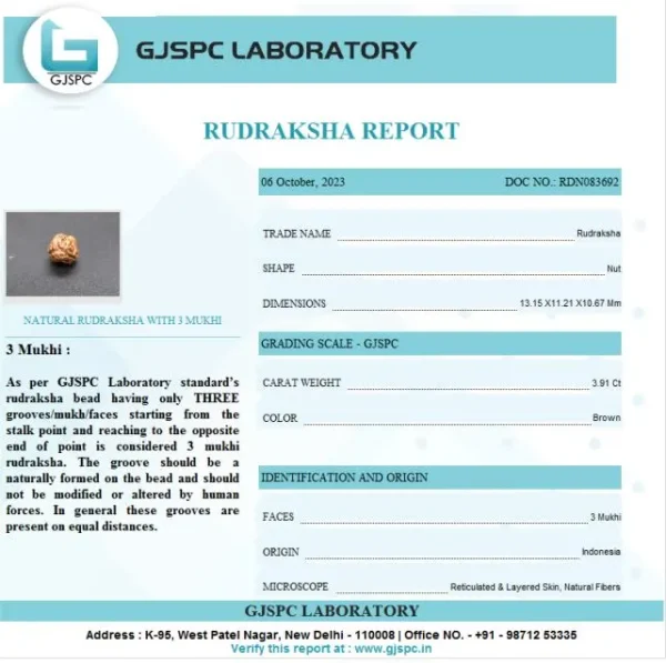 3 Mukhi Certificate