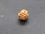 3 Mukhi Rudraksha