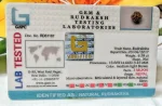 3 Mukhi Certificate