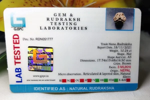 3 Mukhi Certificate