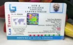 3 Mukhi Certificate