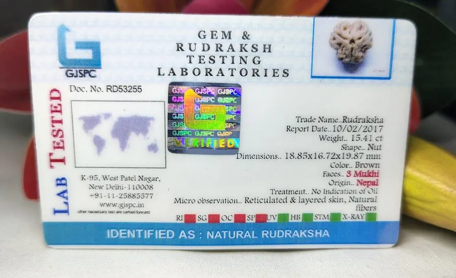3 Mukhi Certificate
