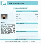 3 Mukhi Certificate