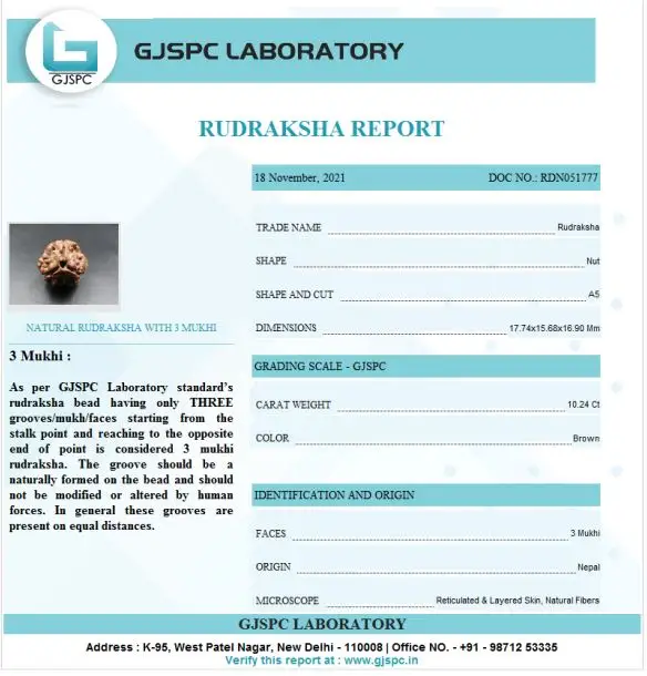 3 Mukhi Certificate
