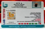 4 Mukhi Certificate