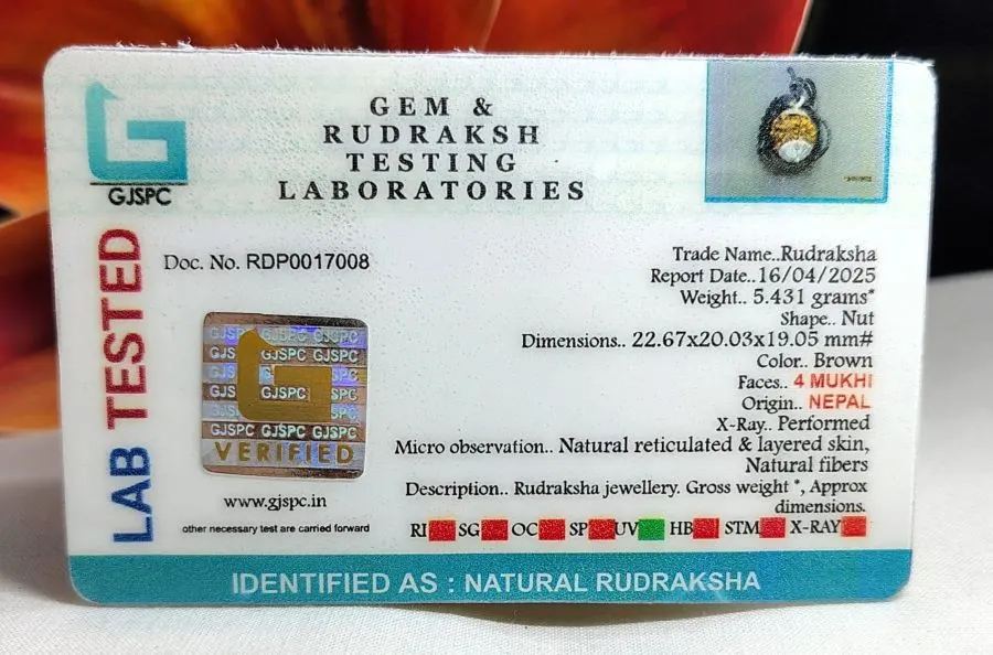 4 Mukhi Certificate
