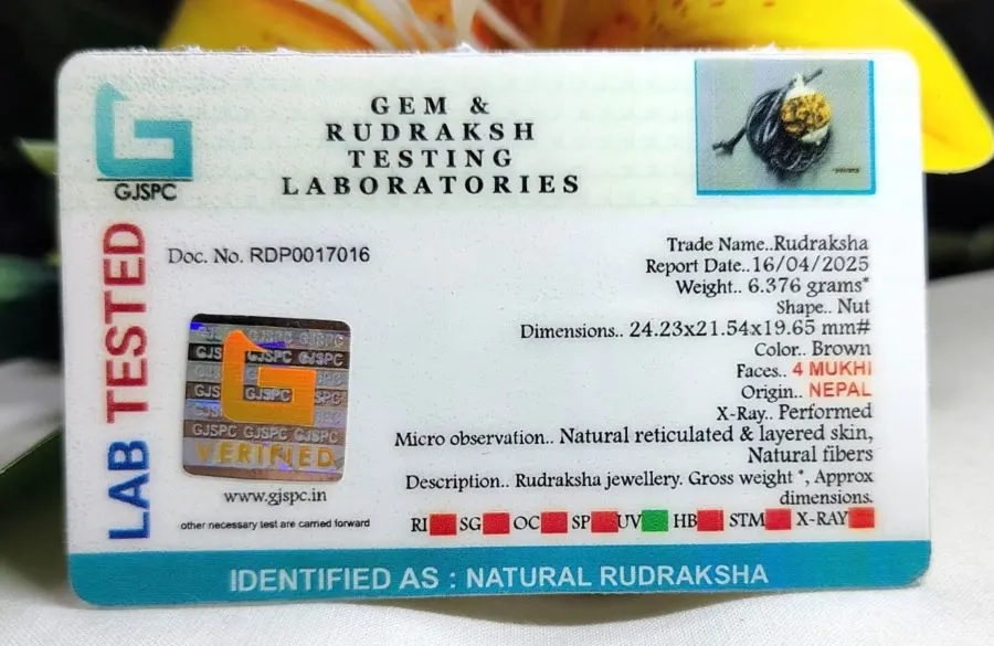 4 Mukhi Certificate