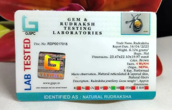 4 Mukhi Certificate