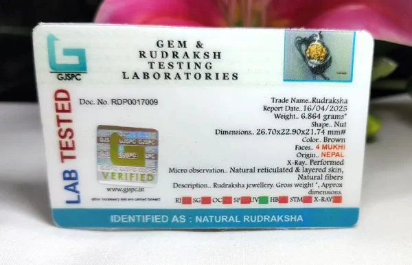 4 Mukhi Certificate