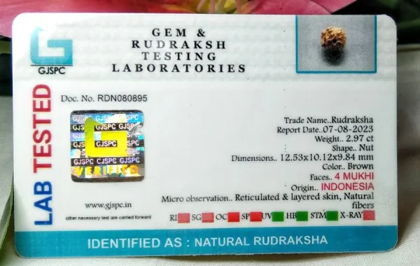4 Mukhi Certificate