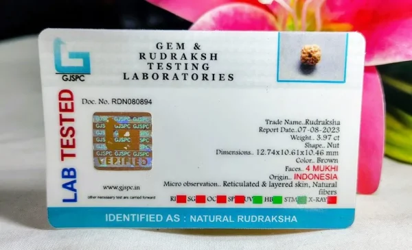 4 Mukhi Certificate