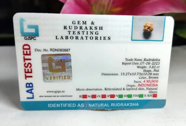4 Mukhi Certificate