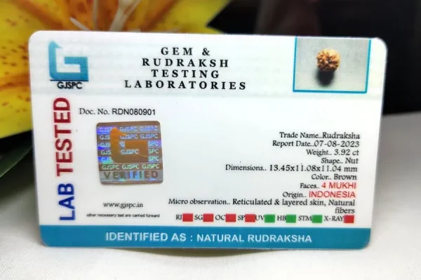 4 Mukhi Certificate