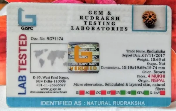 4 Mukhi Certificate