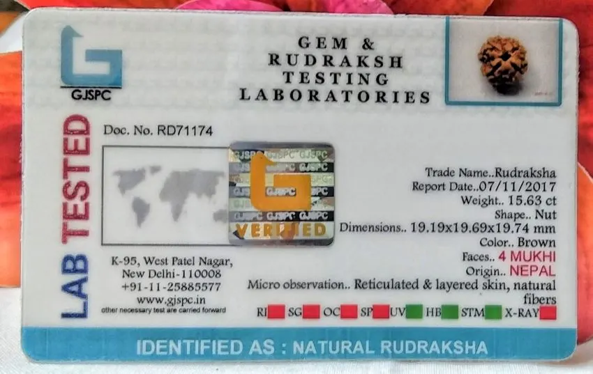 4 Mukhi Certificate